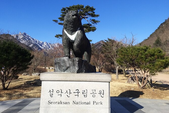Full-Day Tour in Mt. Seorak & Nami (+Rail Bike Option) - Choosing between a hike and the cable car
