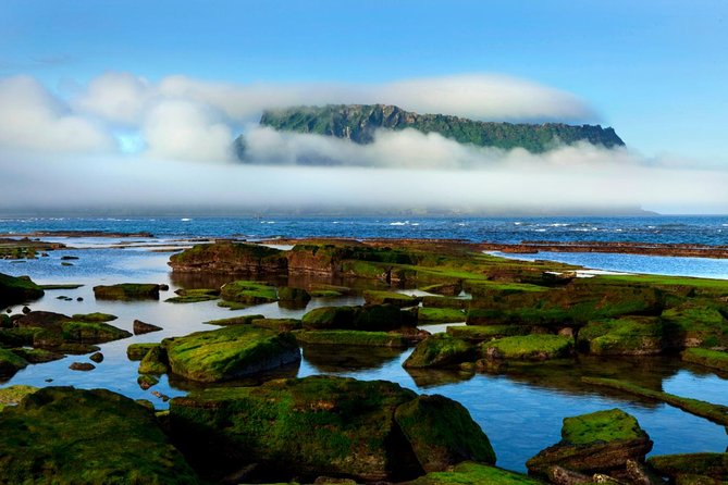 Fully Customizable Private Tour of Jeju Island - The Guides Make or Break the Day