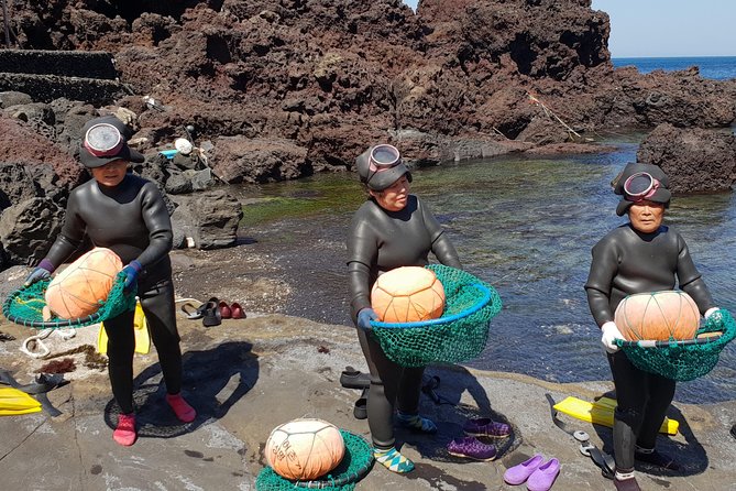 Fully Customizable Private Tour of Jeju Island - A Comfortable Alternative to Jeju’s Public Transport