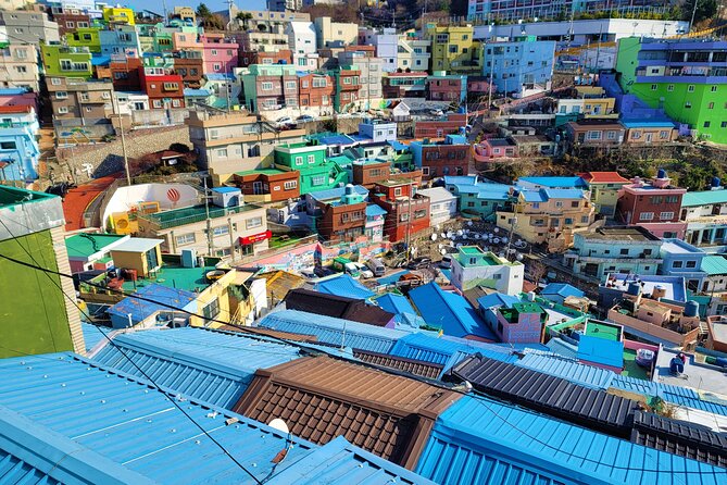 Gamcheon Culture Village, Jagalchi fish market story telling Tour - What the guide does especially well
