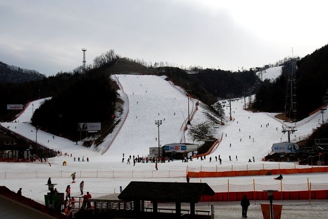 Gangchon Elysian Ski Day Trip from Seoul - What can go wrong on the day