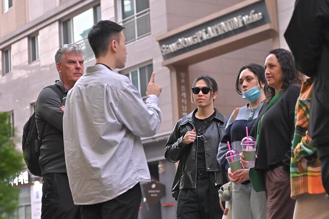 Gangnam Walking Tour on Youth and Society in Seoul Korea - Sinsa-dong, plastic surgery, and lookism