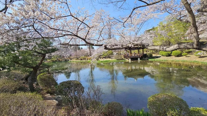 Gyeongju: Private Car Charter Taxi Tour - Creating your own route, including outlying areas