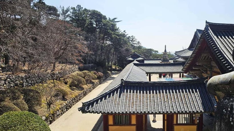 Gyeongju: Private Car Charter Taxi Tour - Price and practical value