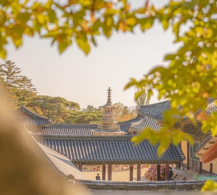 Gyeongju: Private Car Tour with a Licensed Tour Guide - Six things to know before booking