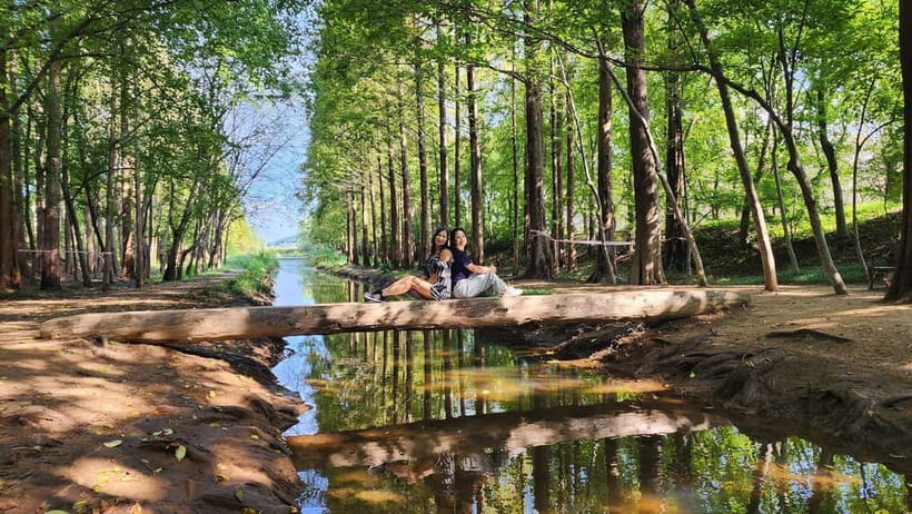 Gyeongju: Private Car Tour with a Licensed Tour Guide - Who gets the best value from this tour?