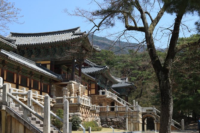 Gyeongju The UNESCO World heritage sites tour(Private tour) - Why Gyeongju makes a worthwhile day from Busan