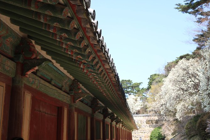 Gyeongju The UNESCO World heritage sites tour(Private tour) - Cheomseongdae, a quick look at early science