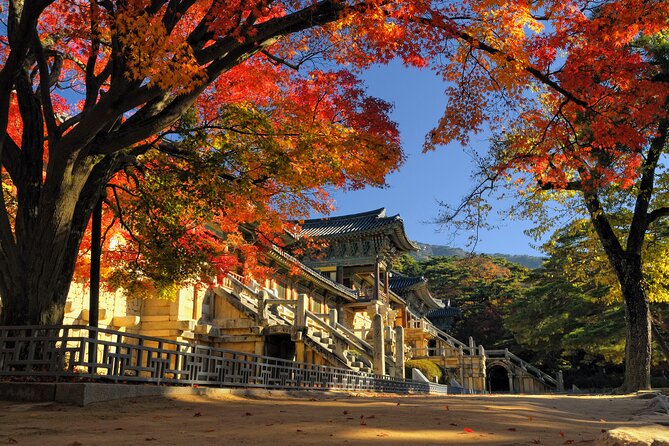 Gyeongju UNESCO sites Private tour with licensed tour guide - Cheomseongdae and the Old Observatory