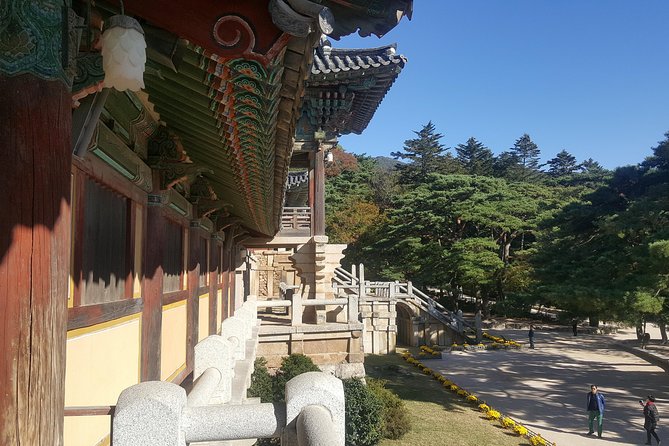 Gyeongju UNESCO Sites Tour by KTX train; The Museum Without walls - Donggung Palace and Wolji Pond after dark history
