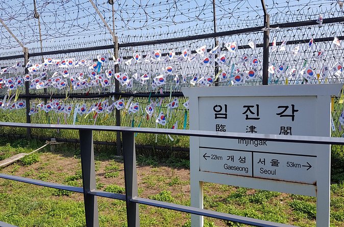 Half Day Korea DMZ Tour/ opt: suspension bridge - Price, group size, and what you actually get