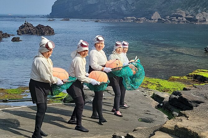 Half or Day Tour For Cruise customers arriving at Gangjeong Port - Seopjikoji, a short coastal pause near Seongsan