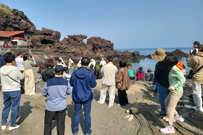 Half or Day Tour For Cruise customers arriving at Gangjeong Port - Seongeup Folk Village and old Jeju homes