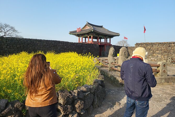 Half or Day Tour For Cruise customers arriving at Gangjeong Port - Meeting the driver and choosing your vehicle