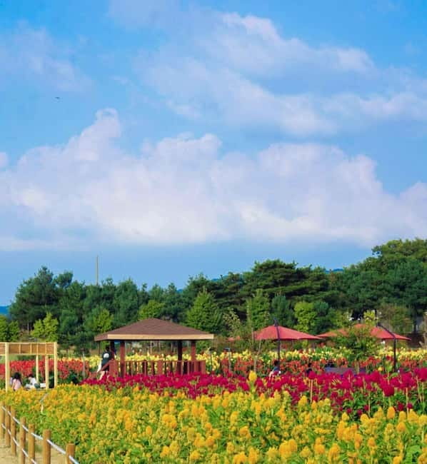 Hantan Canyon & Goseokjeong Flower Garden & Pink Muhly Park - Hantan Canyon and the river’s columnar rock