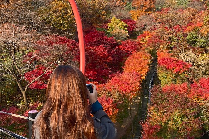 Hwadam Botanic Garden and Namhansanseong and Folk Village Trip - Why this day works so well from Seoul