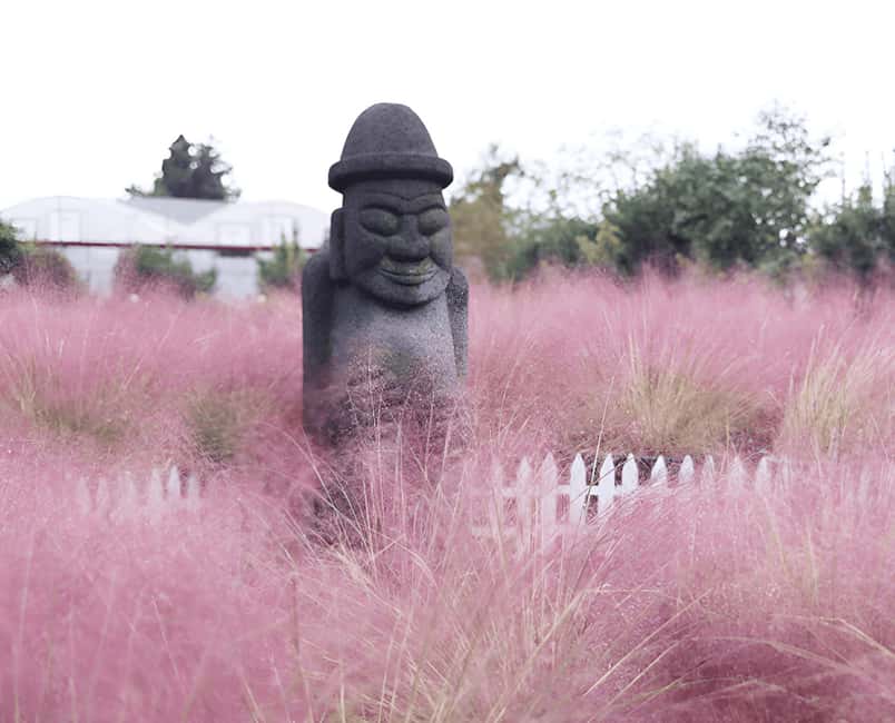 Jeju: 2026 Autumn Tour with Pink Muhly Festival Hotel Pickup - Sangumburi Crater and the silver grass fields