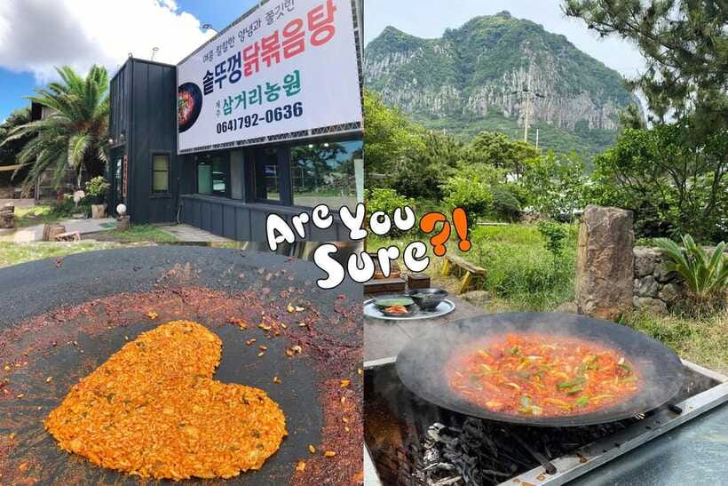 Jeju: BTS Are You Sure?! Filming Locations Private Taxi Tour - Who will enjoy this most