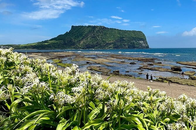 Jeju BTS & K-drama Fans Small Group Tour incl. Snoopy Garden - Seongeup Folk Village and Historical Drama Settings