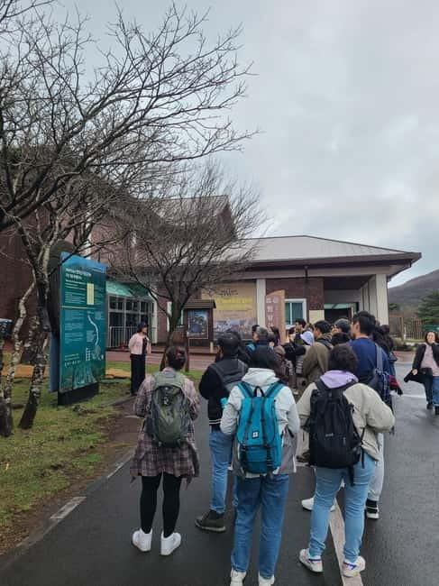 Jeju: Cherry Blossom South & West Day Tour with Hotel Pickup - A full spring day from Jeju City