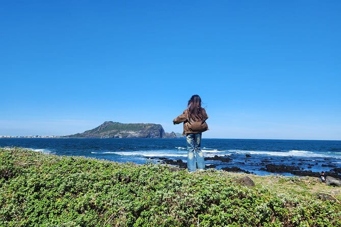 Jeju Cruise Ship gangjung Port PRIVATE tour for all group sizes - O’sulloc Tea Museum and Jeju’s green tea country