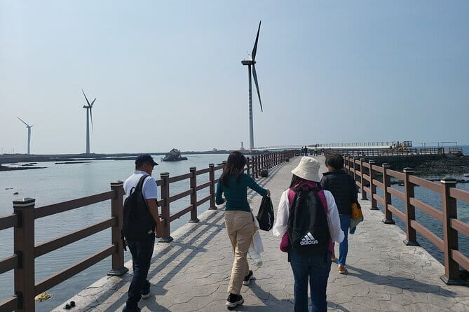 Jeju Customize Private VAN Tour of East or West or South (~8pax) - Jusangjeolli Cliff and volcanic coastal rock