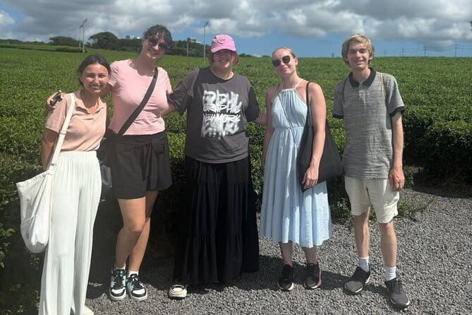 Jeju Customized Private Car Tour - Why a private car makes sense on Jeju