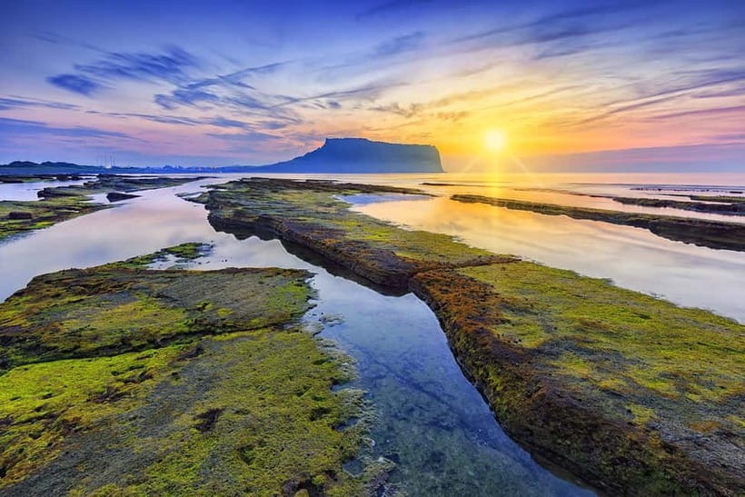 Jeju: Customized Private Vehicle Day Tour - Western Jeju: beaches, gardens, and family stops