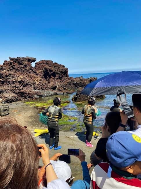 Jeju: Customized Shore Excursions For Up To 7 People - Key Points to Know Before You Book