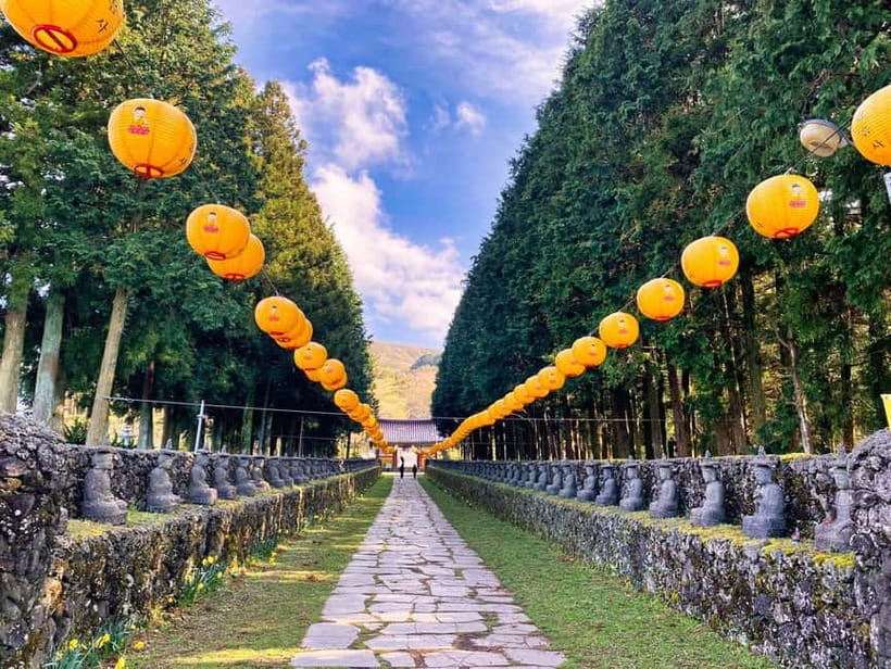 Jeju: Customized Shore Excursions For Up To 7 People - What the Guide Adds to the Experience