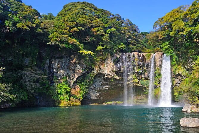 Jeju Day Tour for Cruise Guests - Jusangjeolli’s Volcanic Stone Pillars