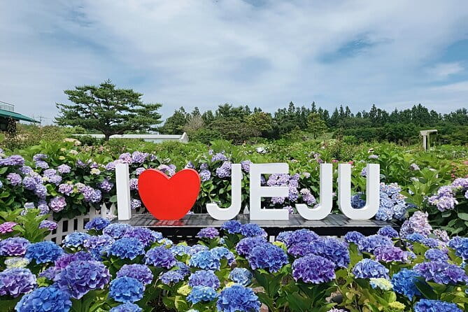 Jeju Day Tour for Cruise Guests - Jungmun Beach and the South Coast