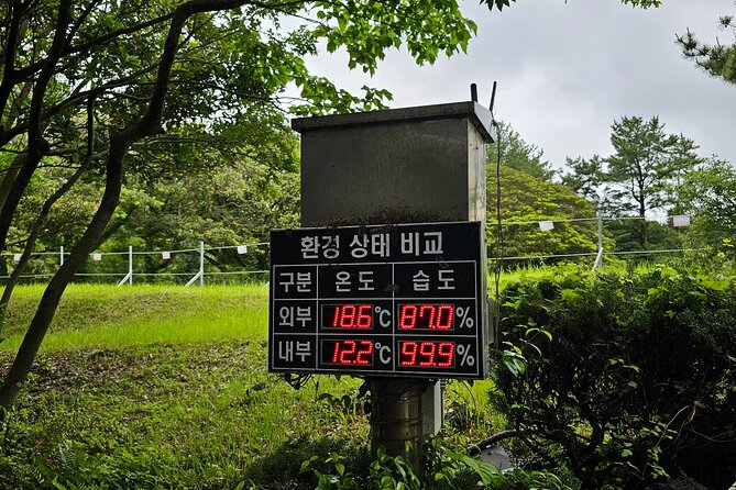 Jeju Day Tour - World Heritage & UNESCO - Starting from Seogwipo: Jeju’s dramatic south coast