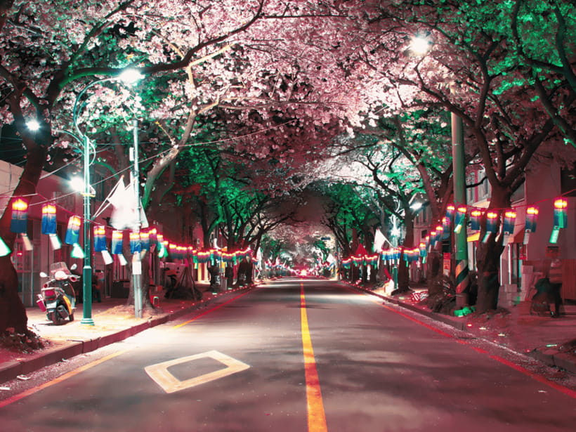 Jeju East: Cherry Blossom Early Bird Tour with Hotel Pickup - Seongsan Ilchulbong is the major finale