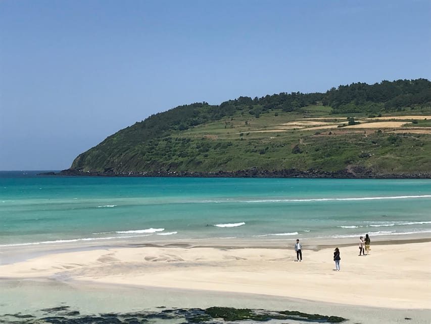 Jeju: East of Jeju Island Bus Tour from Seogwipo City - Walking, weather, and who should book