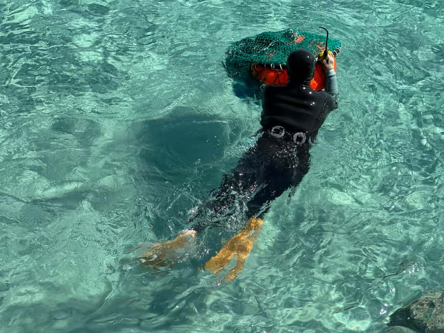 Jeju East: Small Group Healing Tour w/Woman Divers Show - Five useful things to know first