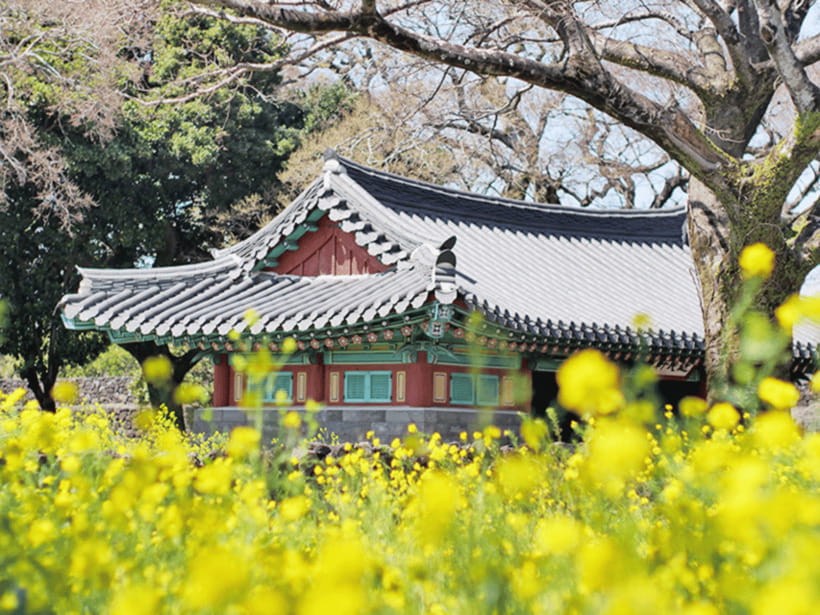 Jeju: Eastern Jeju UNESCO Spots Day Tour - Seongsan Ilchulbong is the day’s volcanic headline
