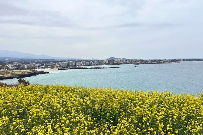 Jeju Eastern Must visit Unesco Spots Join In Tour - Guides, vehicle, and communication