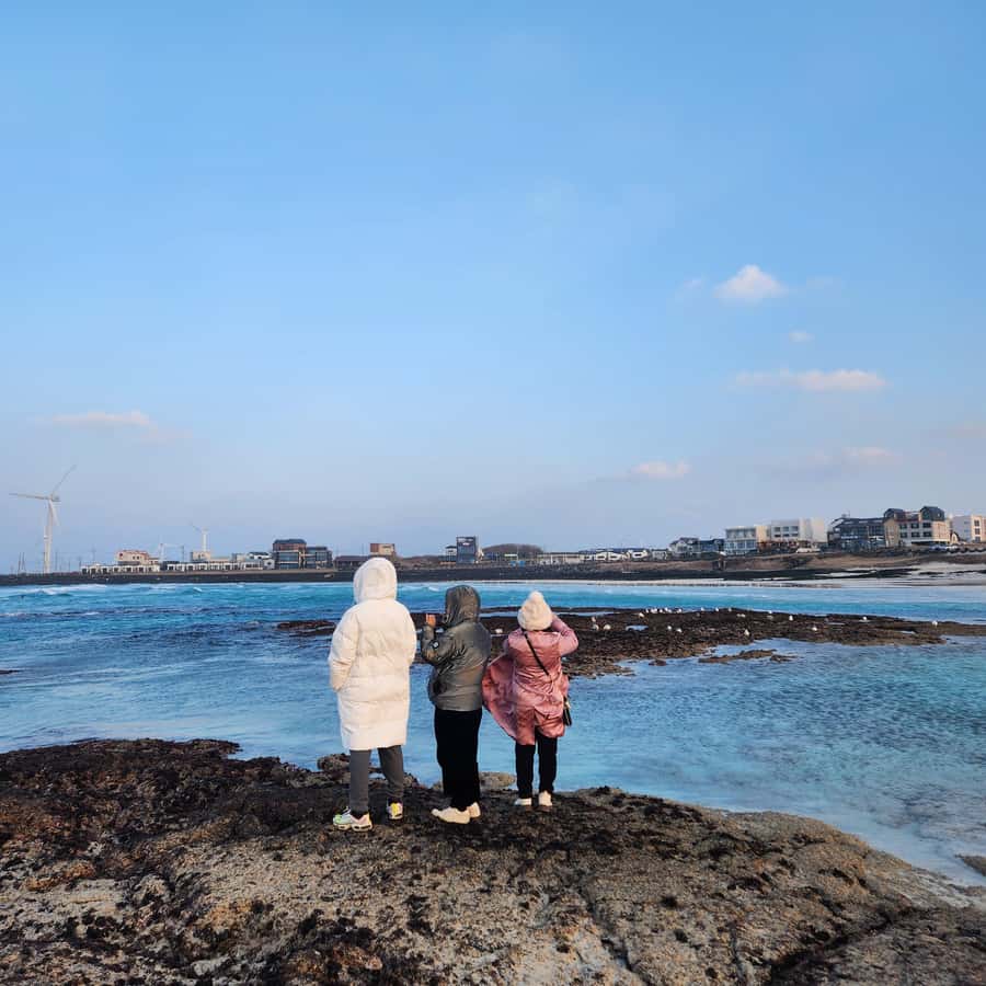 Jeju: Eastern UNESCO Join in Tour (Seongsan, Haenyeo) - Ilchul Land, botanical gardens, and volcanic geology