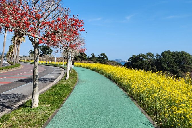 Jeju English Private Taxi Tour(1day, 2days, 3days & 1 to 12pax) - What an eight to nine hour day feels like