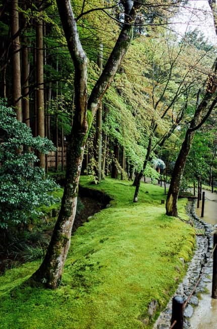 Jeju Highlights Day Trip (East Course) - The Haenyeo Museum explains Jeju’s female divers