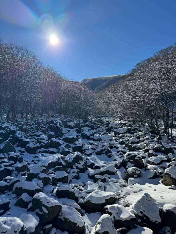 Jeju: Hiking Mt. Hallasan, South Korea's Highest Mountain - The three-hour climb through Eorimok