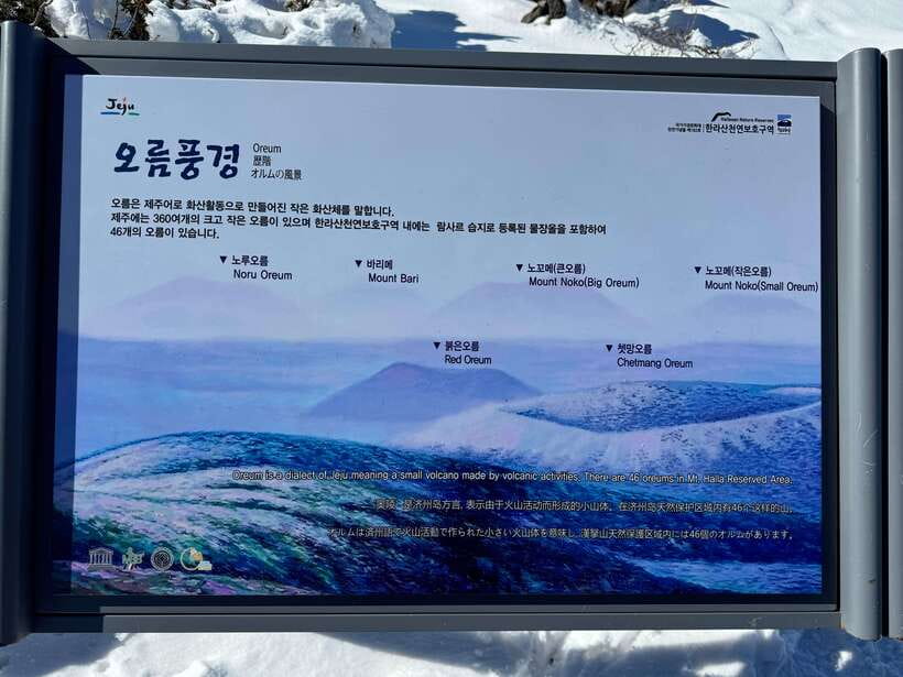 Jeju: Hiking Mt. Hallasan, South Korea's Highest Mountain - Finishing at Yeongsil Entrance