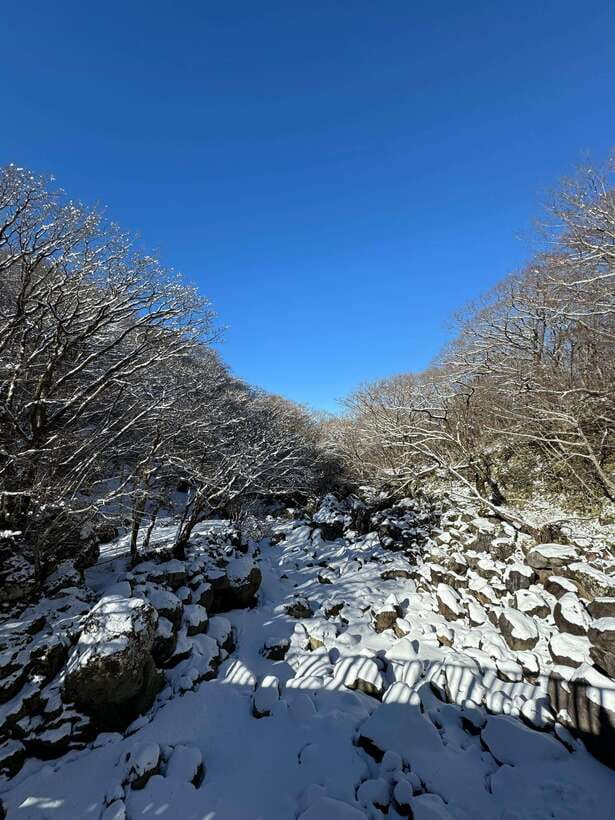 Jeju: Hiking Mt. Hallasan, South Korea's Highest Mountain - How the private guide changes the day