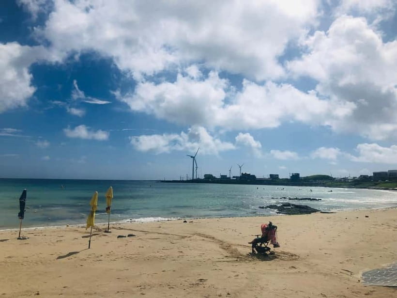 Jeju Island: Customized Private Full-Day Van Tour - Why a Private Jeju Tour Can Be Worth the Cost