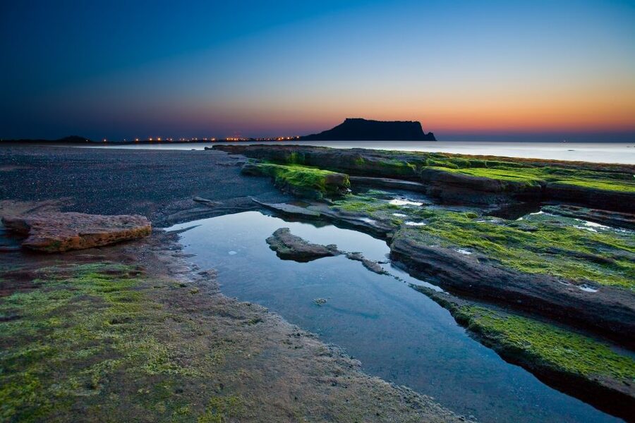 Jeju Island: Customized Private Full-Day Van Tour - Woljeongri Beach and Its 35-Minute Coastal Pause