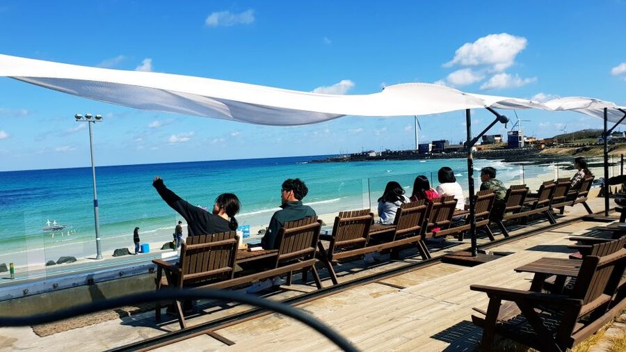 Jeju Island: Customized Private Full-Day Van Tour - Ilchul Land and a Quieter Garden Stop