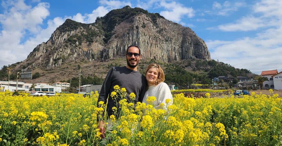 Jeju Island: Full-Day Customizable Private Guided Car Tour - Local food, Dongmun Market, and tea plantations
