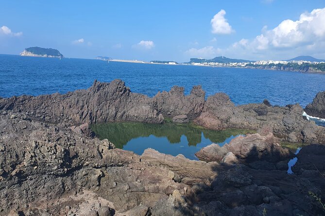 Jeju island Jumbo Taxi Private Tour with Mr.Hong South of Jeju - Seogwipo Maeil Olle Market is your practical food stop