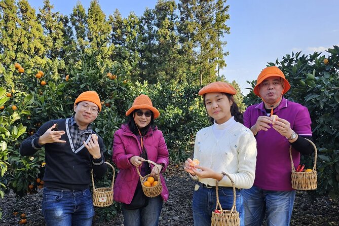 Jeju island Jumbo taxi Private Tour with Mr.Hong west of jeju - Hyeopjae Beach: an easy, beautiful first stop